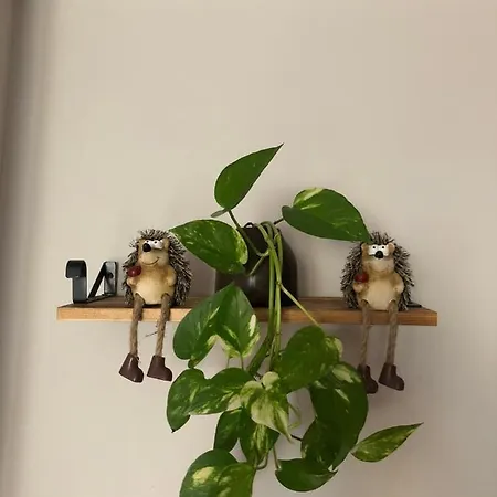 La Casita De Pedraza