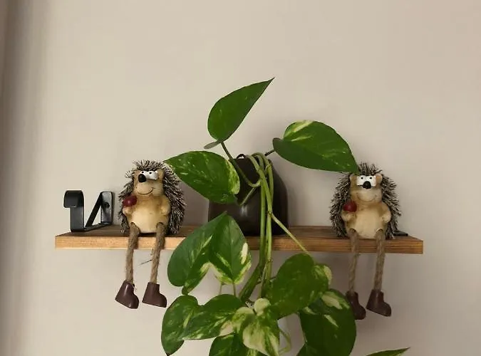 La Casita De Pedraza